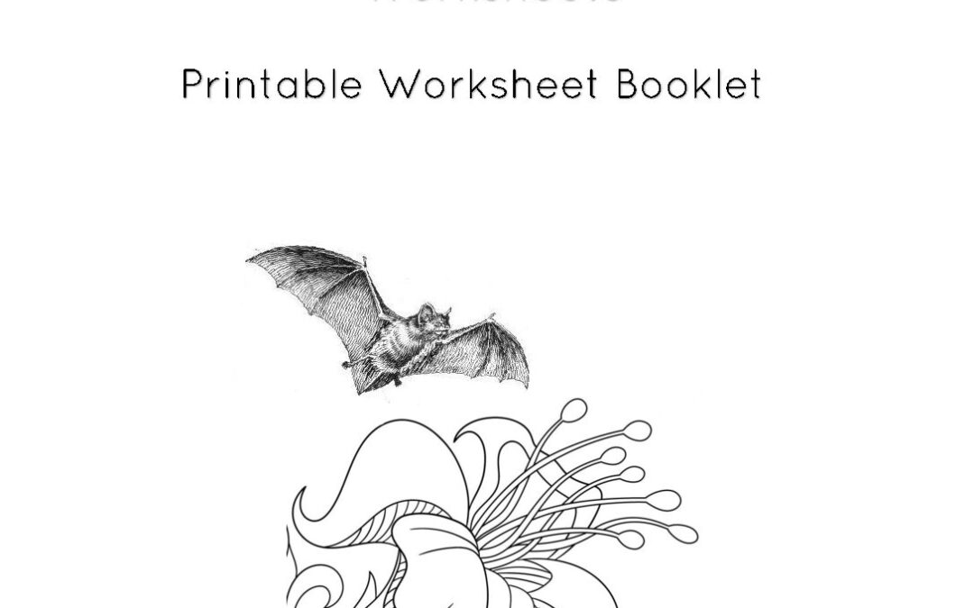 Bat Pollination worksheets