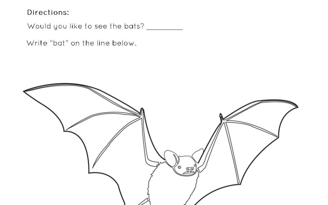 Bats in Texas Worksheets