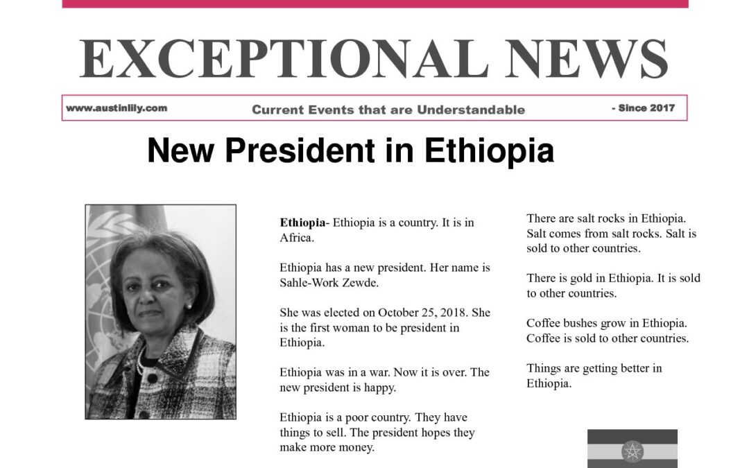 Ethiopia newspaper