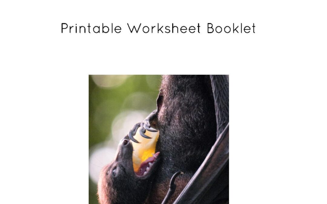 Fruit Bats Worksheets