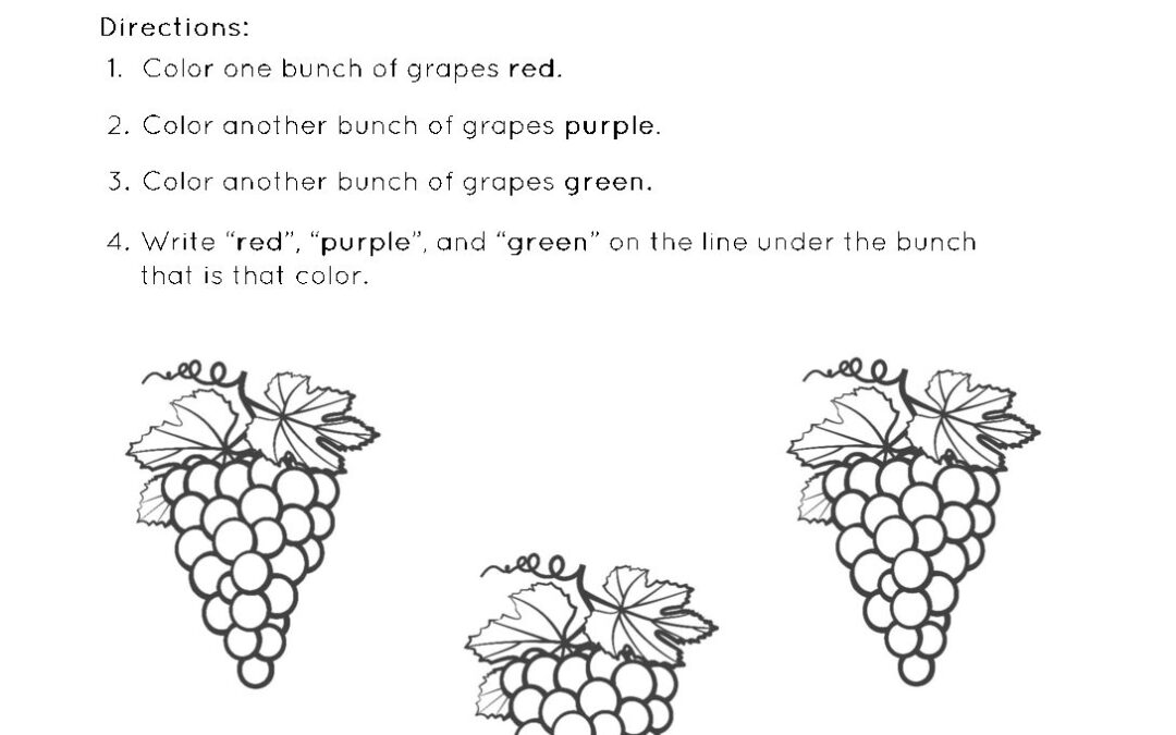 Grapes Worksheets