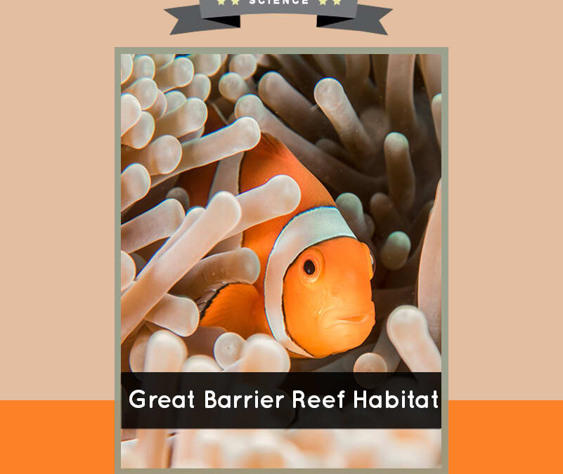 Great Barrier Reef Habitat