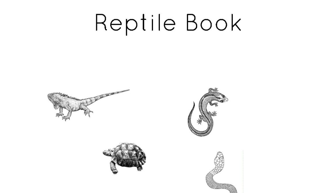 Interactive Reptile book
