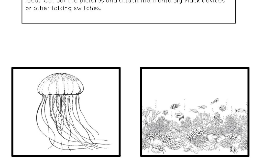 Jellyfish worksheets