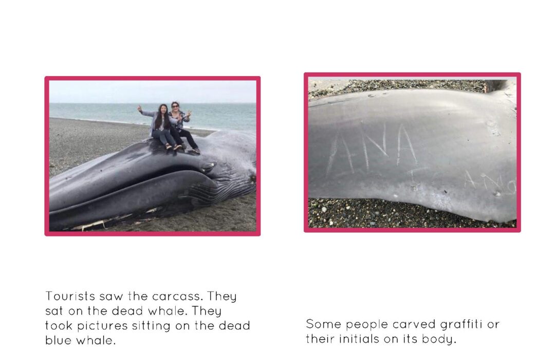 L Book Blue Whale -page-002