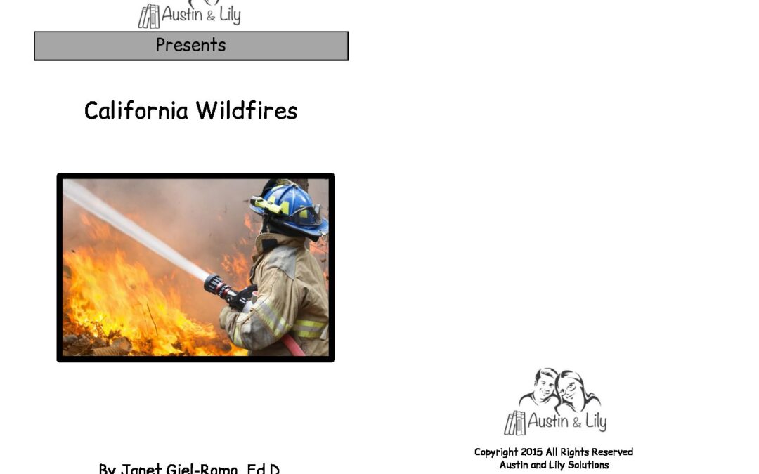 L California Wildfire Book