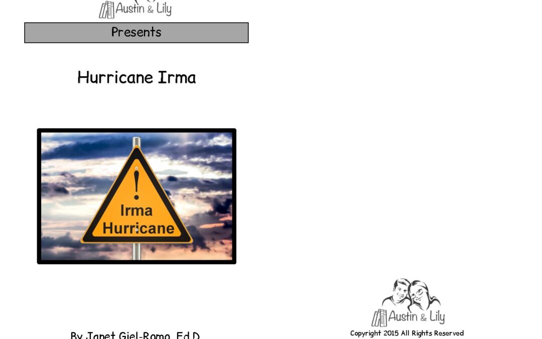L Hurricane Irma Book