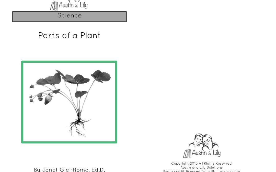 L Parts of a Plant Book BW