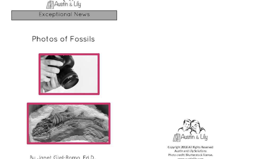 L Photos for Fossils Book BW