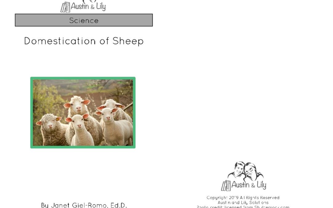 L Sheep Book