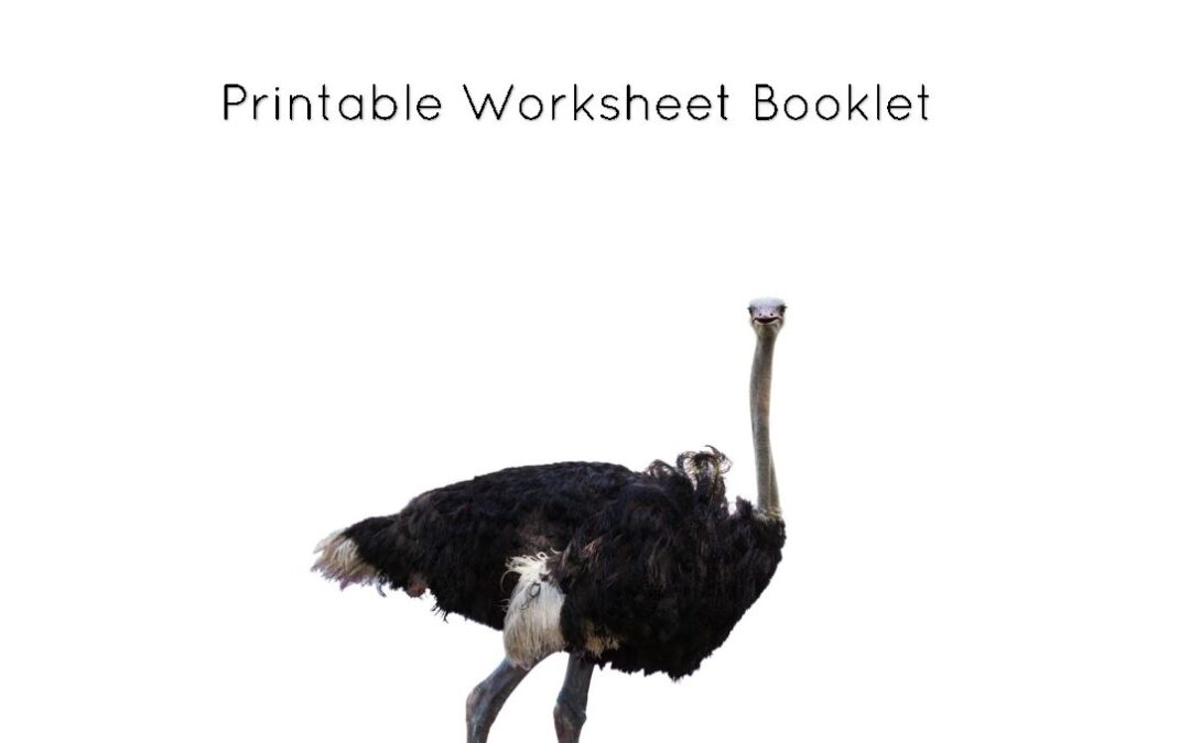 Ostriches Worksheets