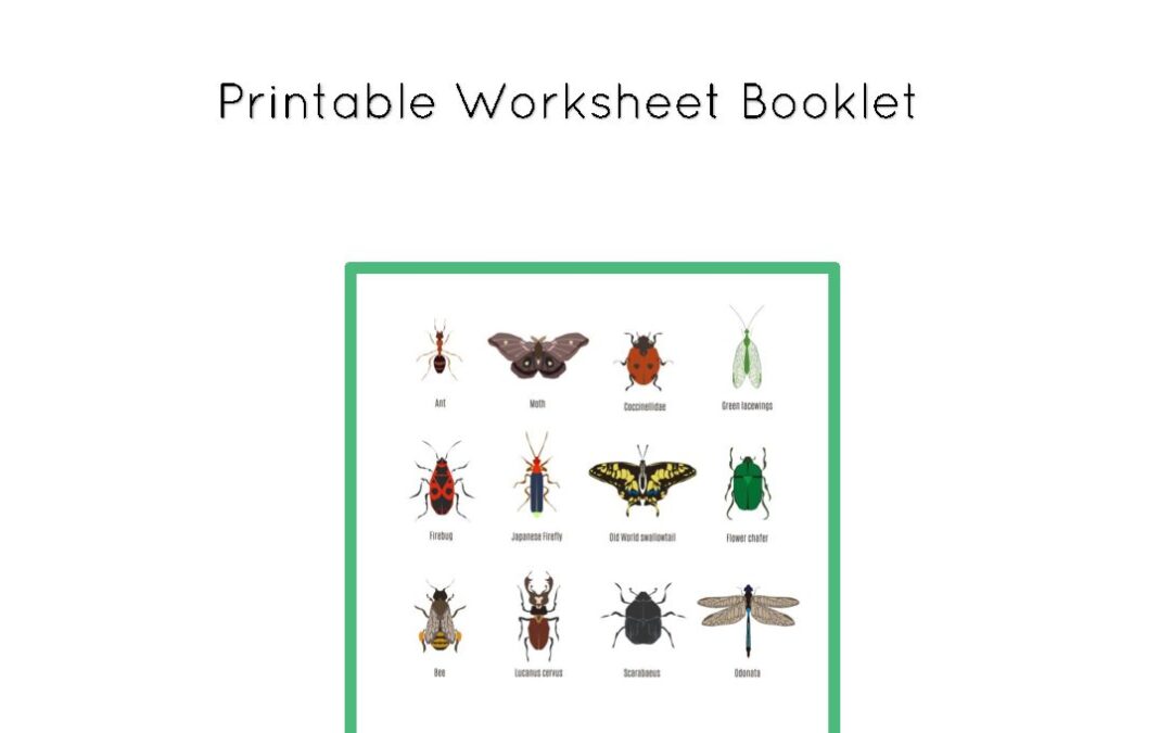 Pollinator Workbook