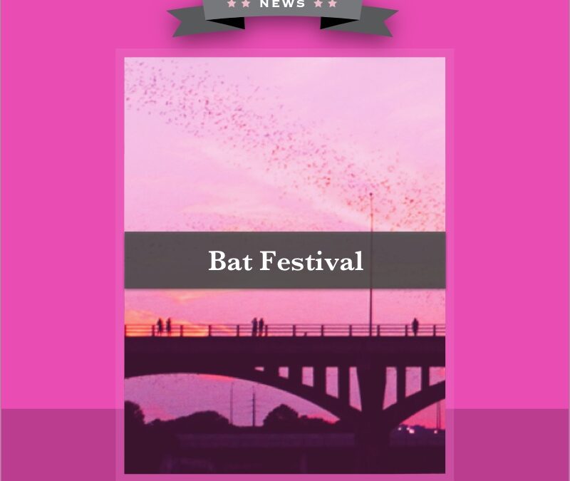 Bat Festival