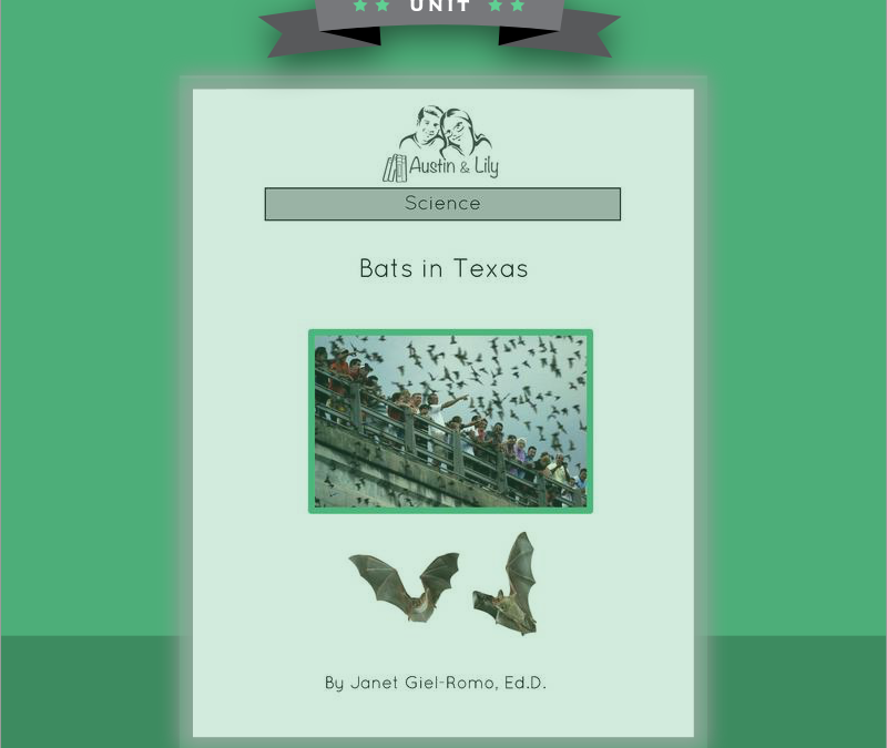 bats in texas cover