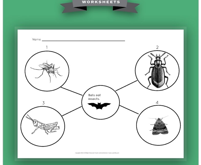 bats in texas worksheet 4