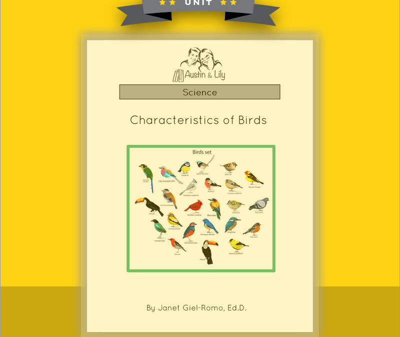 bird characterisitcs unit