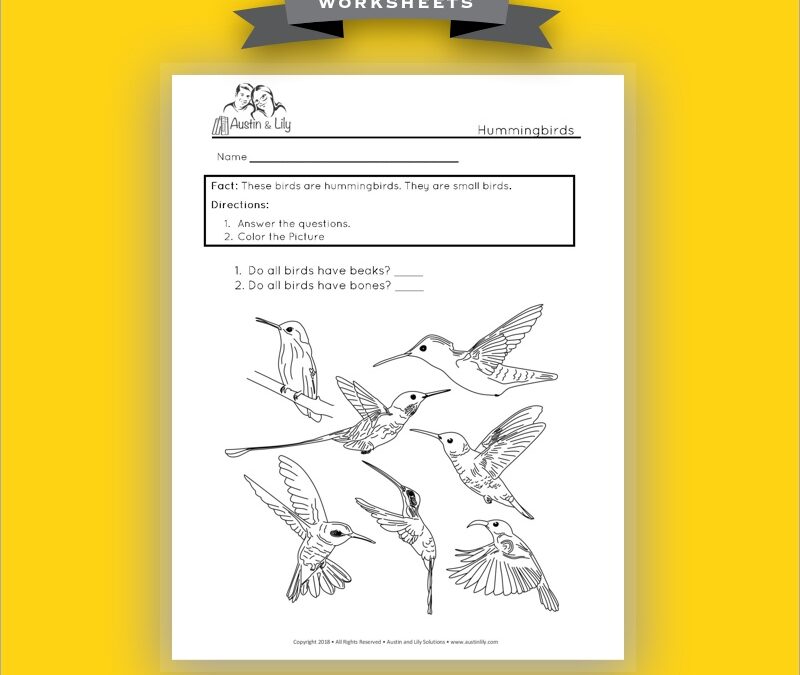bird characterisitcs worksheets 4