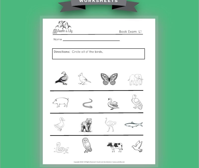 birds vertebrates worksheets 2