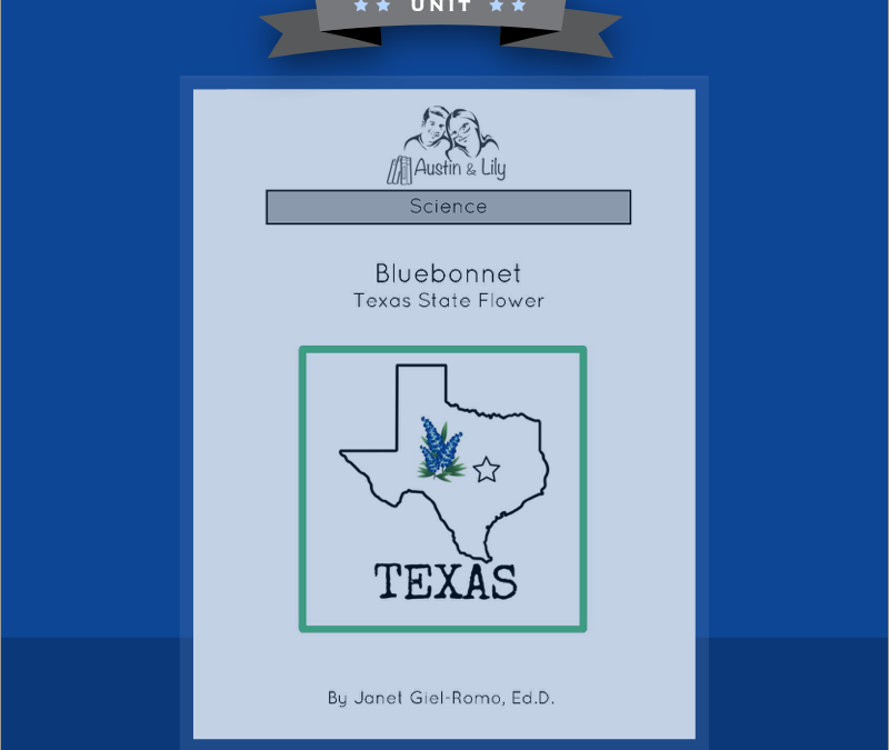 bluebonnets unit