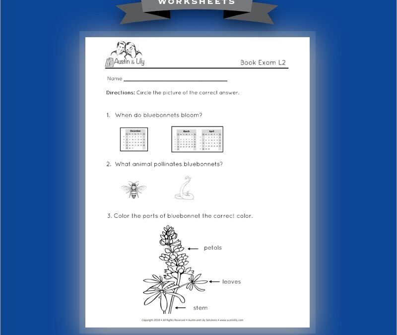 bluebonnets worksheet 2