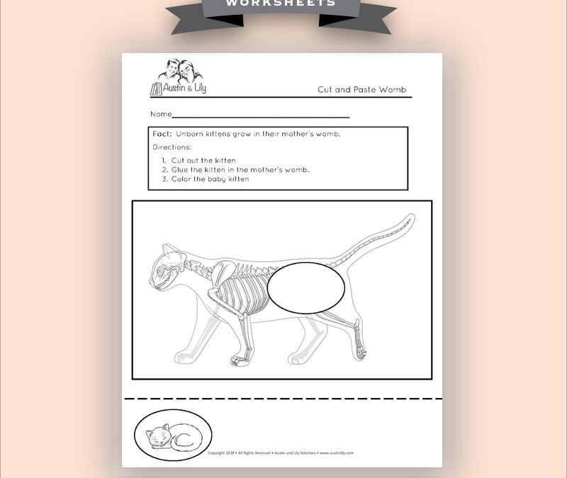 cats worksheet 3