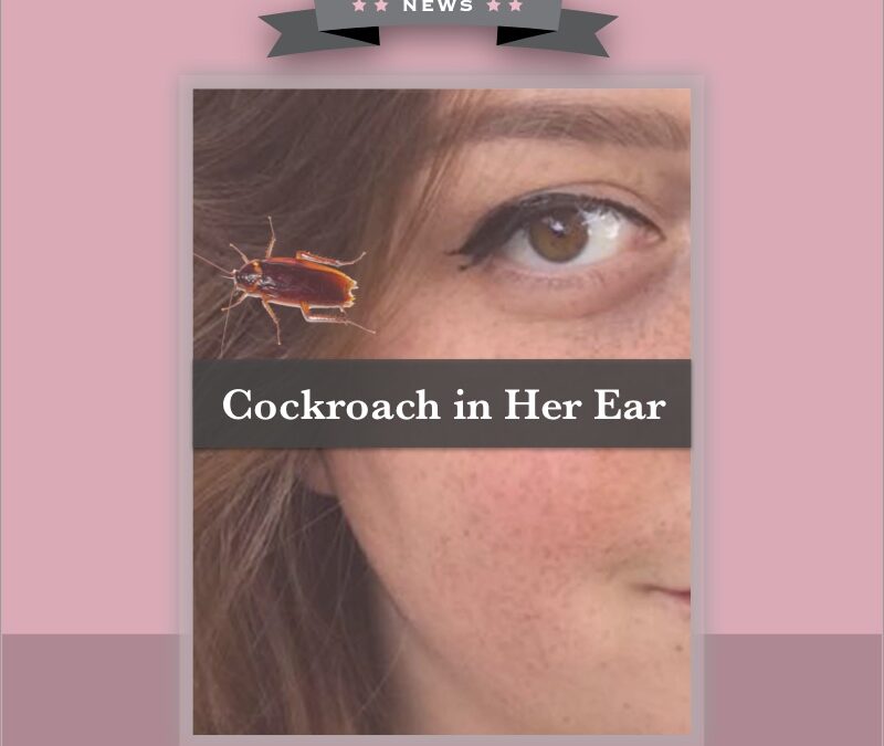 Ear Cockroach