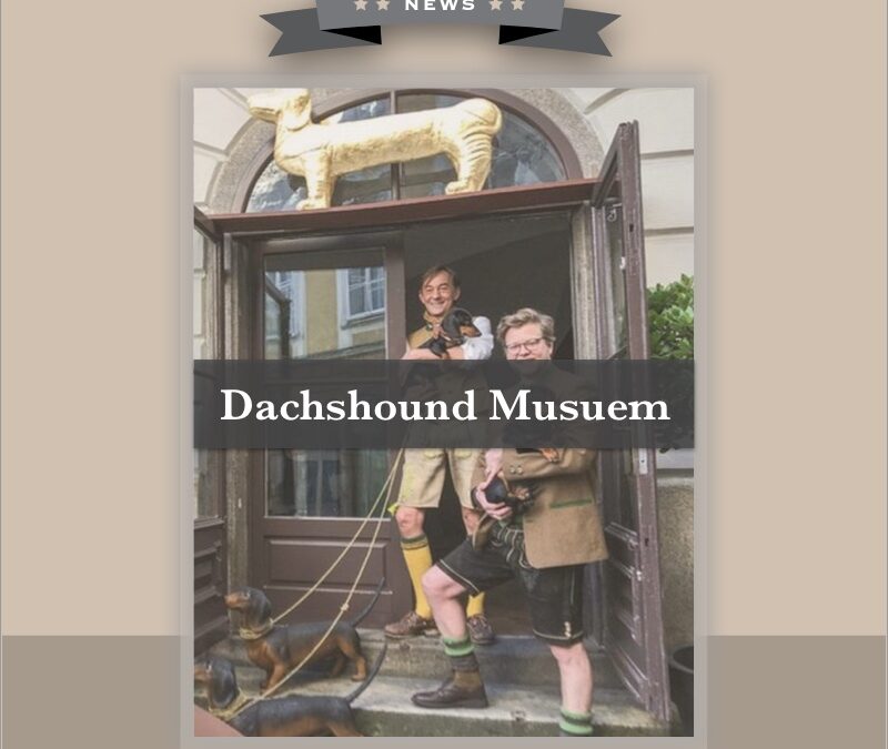 Dachshound Musuem