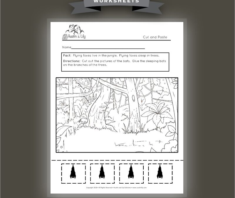 flying fox bats worksheet 1