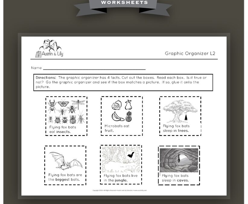 flying fox bats worksheet 4