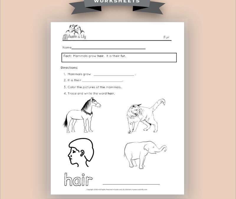 mammals worksheet 3