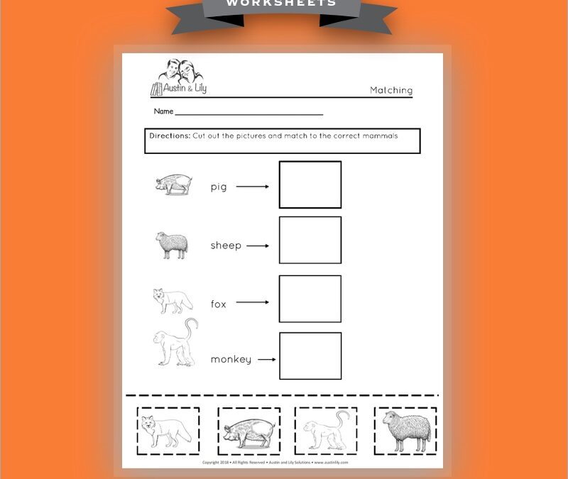 many mammals worksheet 3