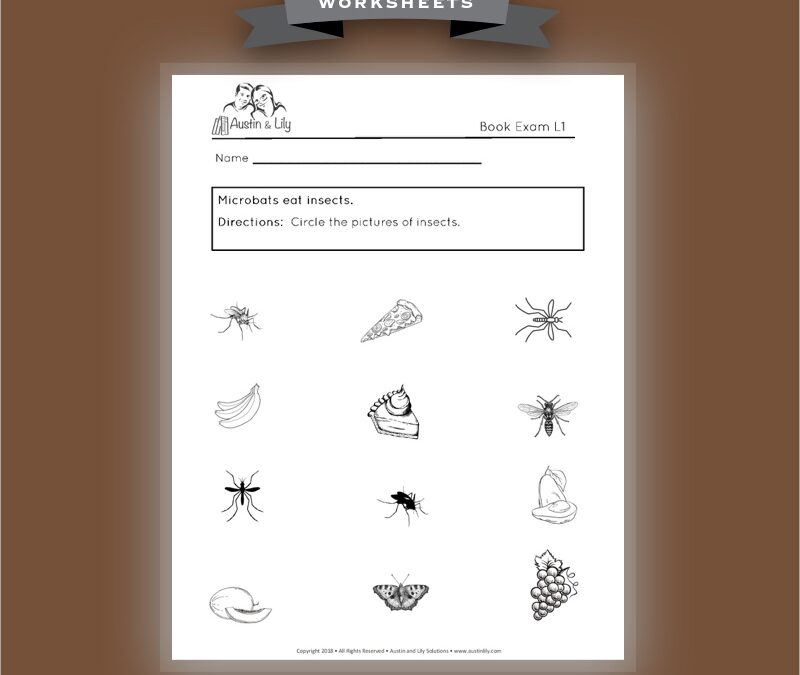 microbats worksheet 1