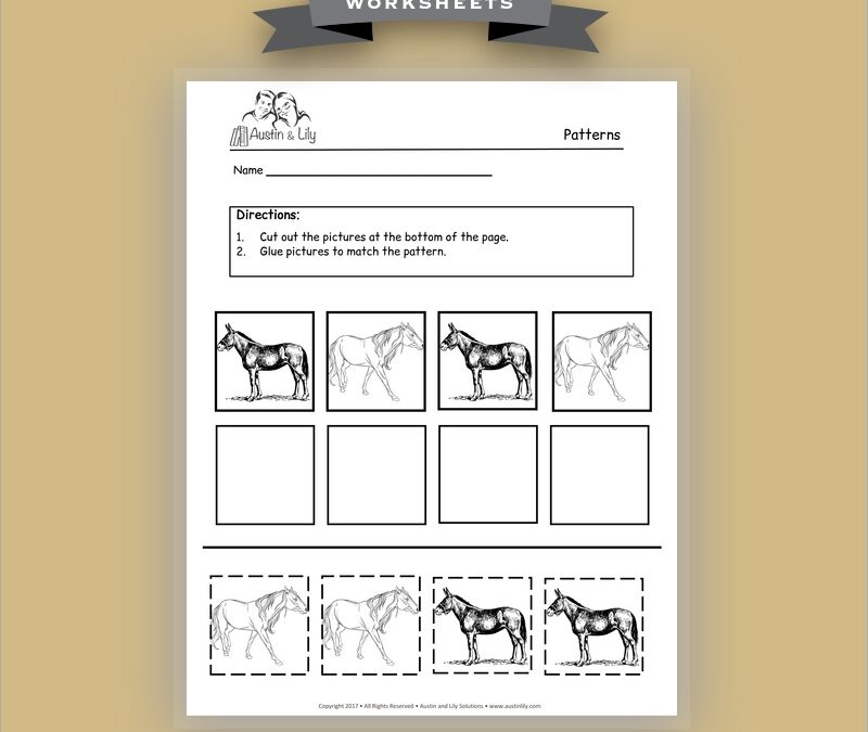 mule worksheet 3