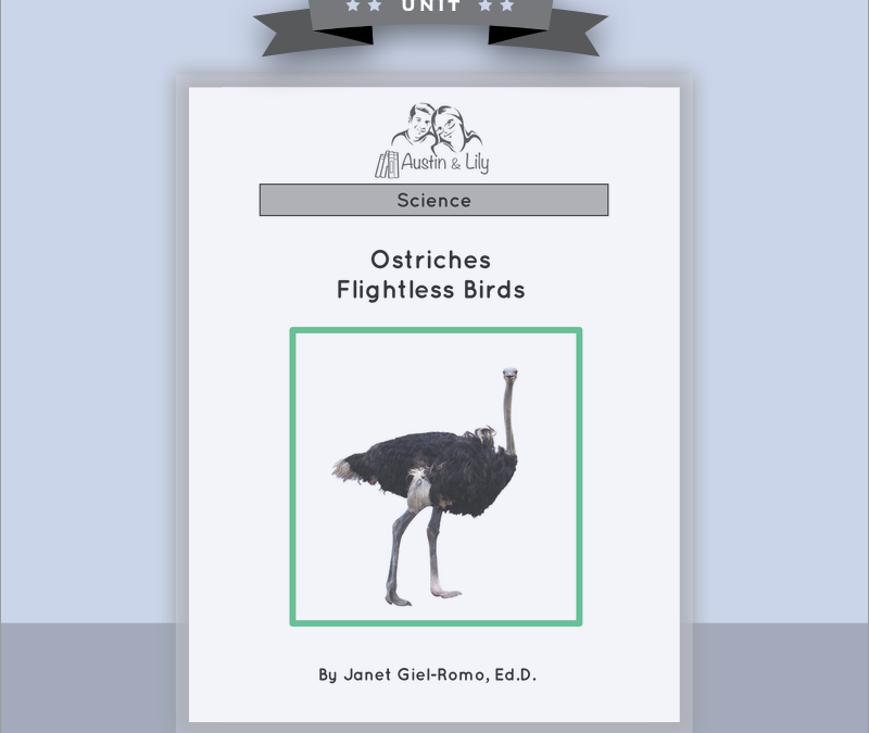 ostriches unit cover