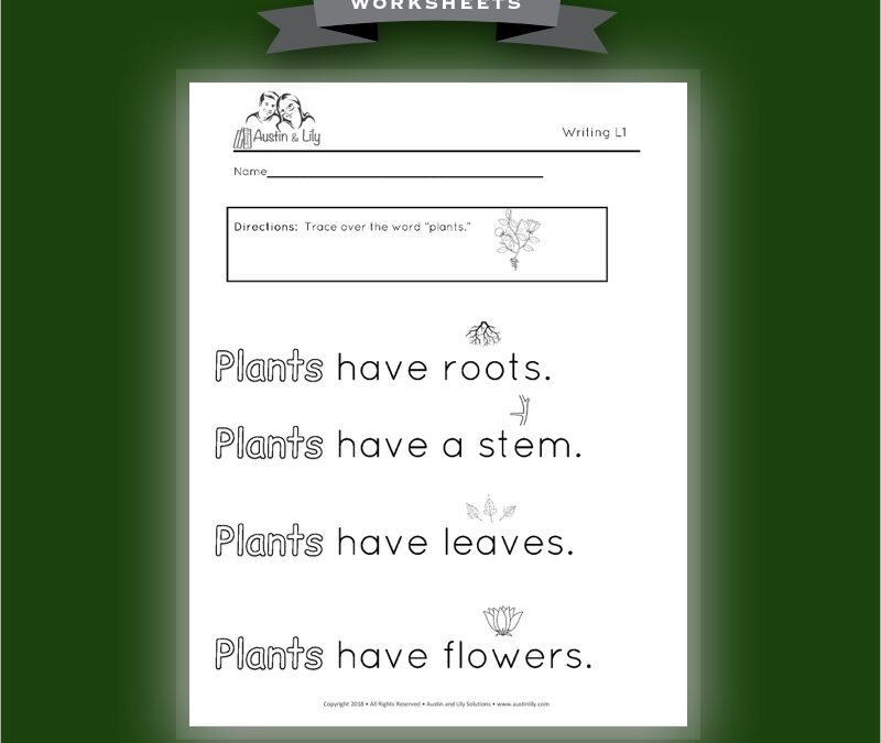 plants worksheet 3