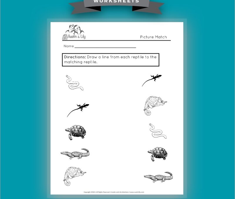 reptiles worksheet 3