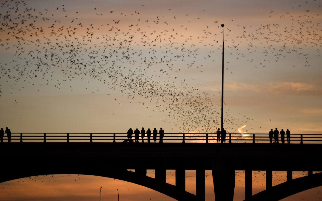 shutterstock_400617055