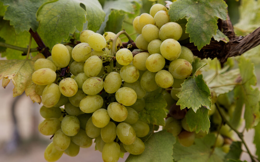 shutterstock_430380802