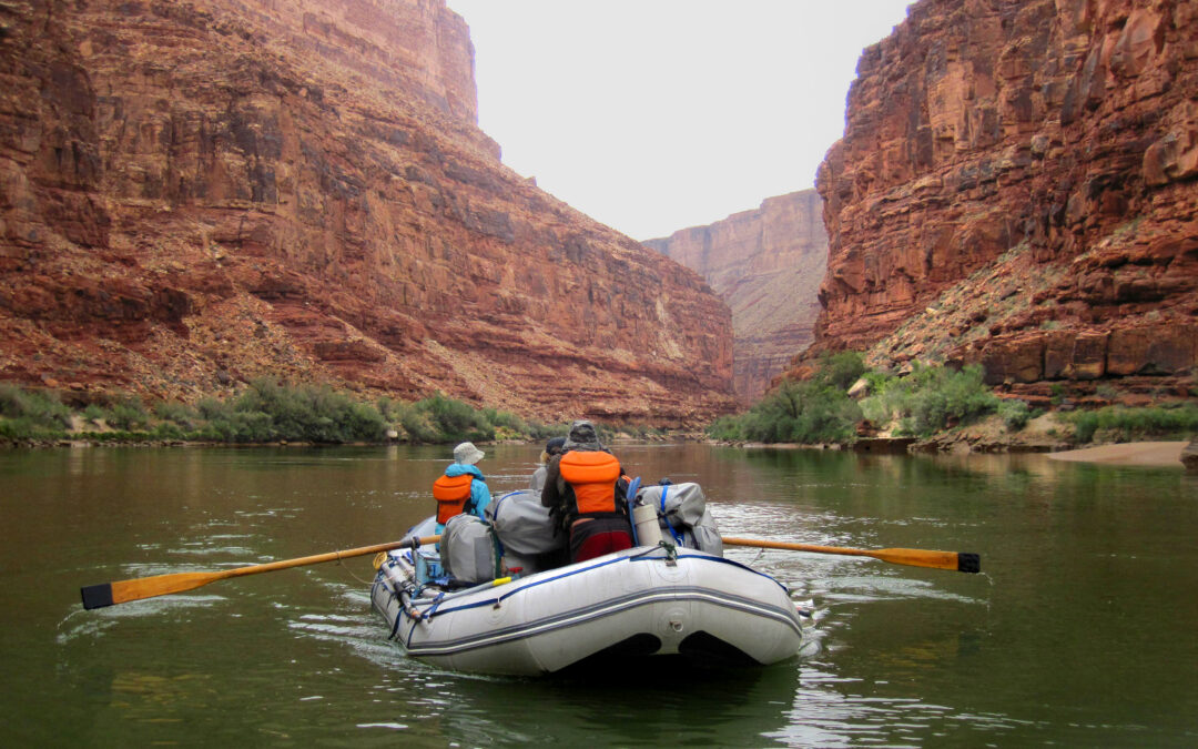 shutterstock_674269096